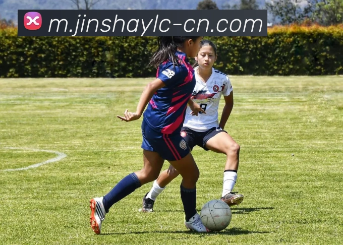 澳门金沙娱乐服务体系